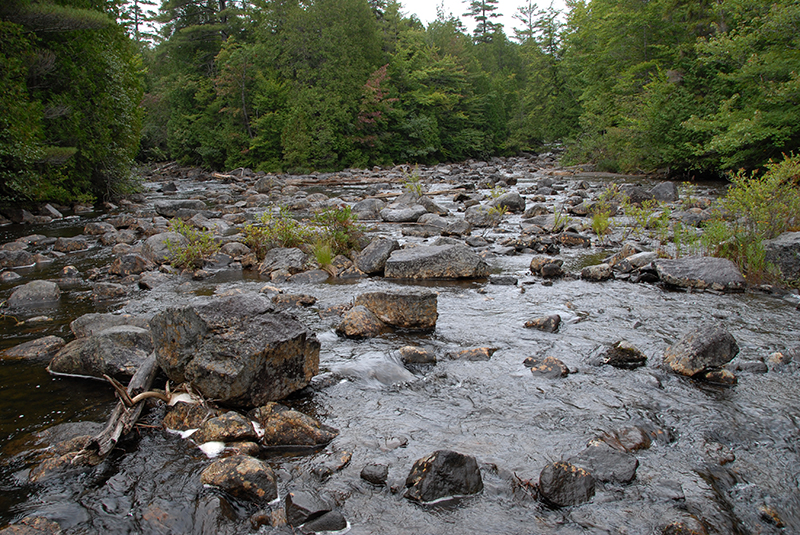 The start of the Hudson River