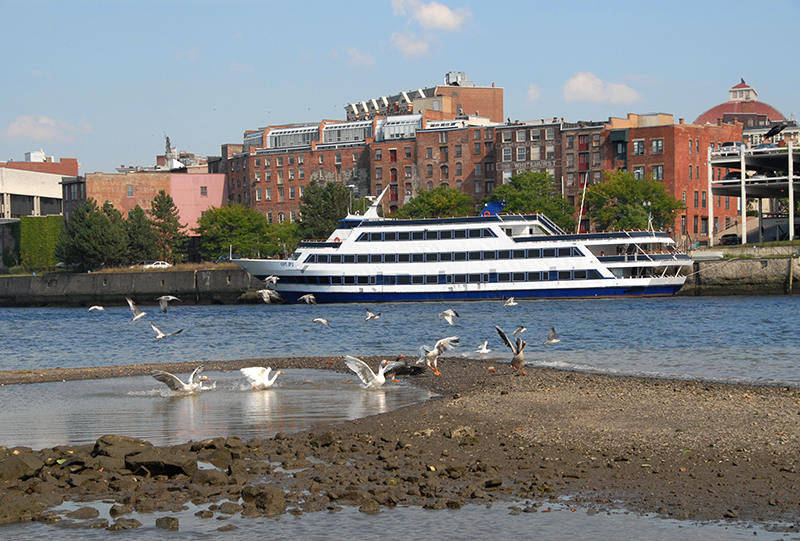 Low tide in Troy NY